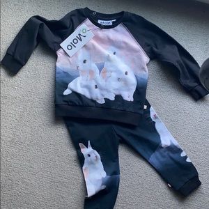 Kids Bunny sweatsuit Set